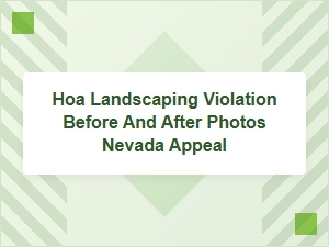 Nevada Hoa Landscaping Violation Before/after Photos Appeal